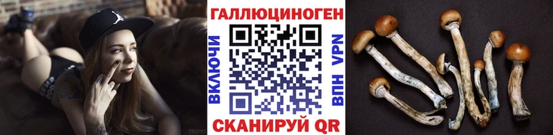 даркнет сайт Чадан Псилоцибиновые грибы GOLDEN TEACHER